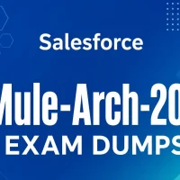 Mule-Arch-201 Exam Dumps