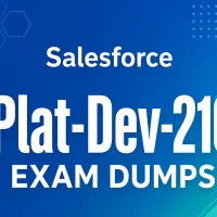 Salesforce Plat-Dev-210 Exam Dumps